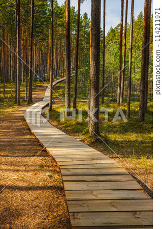 Viru Bog Viru Raba peat swamp, Estonia 114211971
