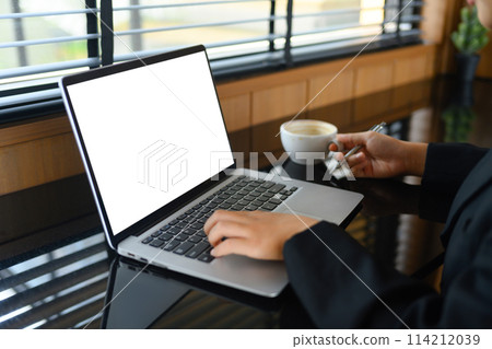 Female freelancer working and typing on laptop keyboard while sitting at modern coffee shop 114212039