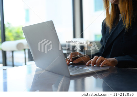 Businesswoman hands entering the PIN code on her laptop. Cyber security concept 114212056