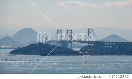 View of the Seto Inland Sea from Mt. Washuu (Kurashiki, Okayama Prefecture) 114212222
