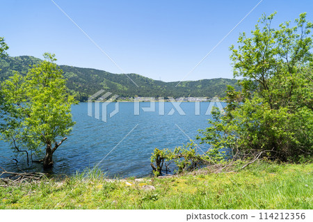 Yoga Lake Yoga Lake 114212356