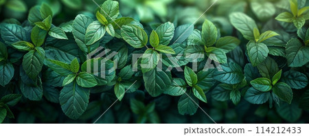 無縫模式 無縫圖樣 無縫接圖 114212433