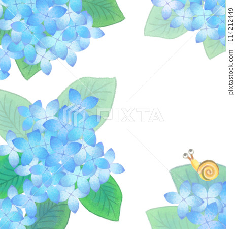 繡球花與耳蝸雨季六月 114212449