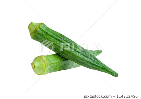 raw okra isolated raw okra isolated 114212456
