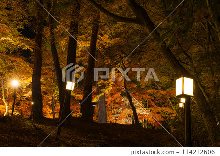埼玉郡的秋天 長瀞月之石紅葉公園 紅葉點燈 埼玉郡的秋天 長瀞月之石紅葉公園 紅葉點燈 114212606