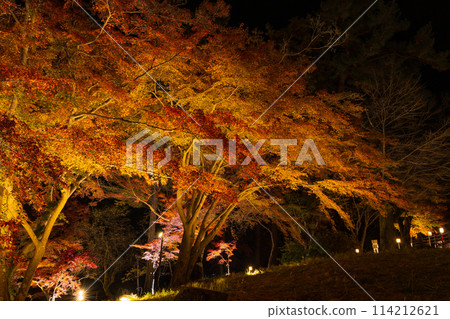 埼玉郡的秋天 長瀞月之石紅葉公園 紅葉點燈 114212621