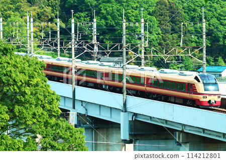 E653 series train heading to Inagi, where fresh greenery shines 114212801