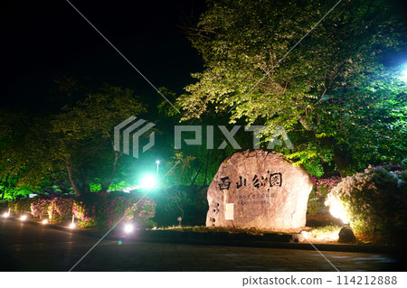 Nishiyama Park Azalea Night view of one of Japan's 100 best historical parks Nishiyama Park Azalea Night view of one of Japan's 100 best historical parks 114212888