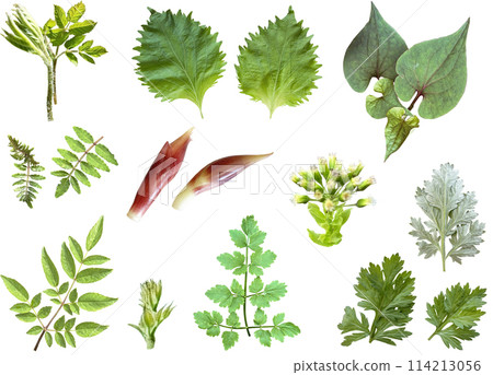 鏤空材料組-日本草藥 114213056