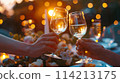 Man and woman celebrate, toasting on special evening 114213175
