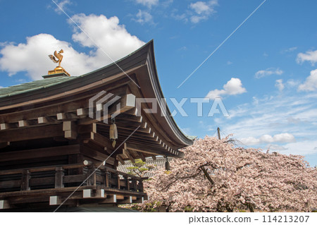 名古屋市昭和區興作院的垂枝櫻花 114213207