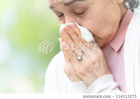 Senior woman blowing her nose, allergy, hay fever Senior woman blowing her nose, allergy, hay fever 114213275