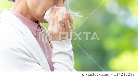 Senior woman blowing her nose, allergy, hay fever 114213282