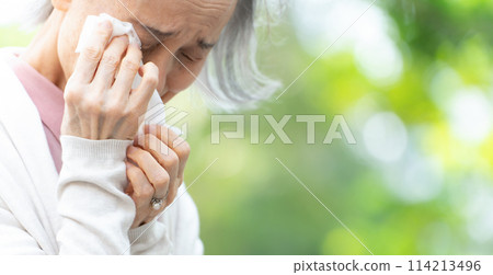 Woman with itchy eyes Allergy Pollen Woman with itchy eyes Allergy Pollen 114213496