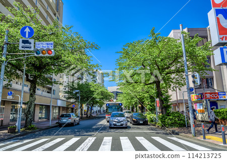 神奈川縣橫濱市的城市景觀，多摩廣場站 114213725