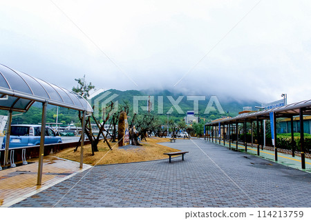 [Kagawa] Shodoshima in early summer: Rainy Tonosho Port 114213759
