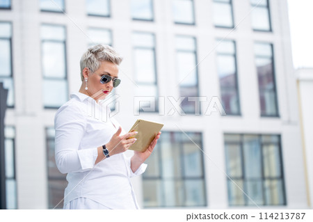 adult Business woman with tablet pc with office district on background adult Business woman with tablet pc with office district on background 114213787