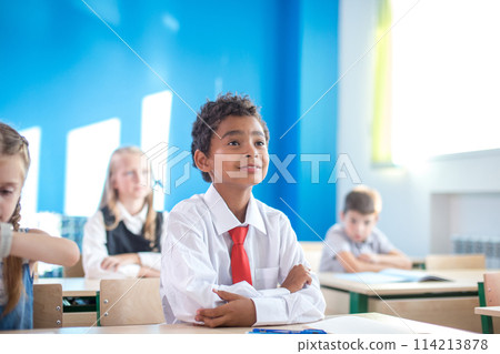 Portrait of African schoolboy sitting desk in class Portrait of African schoolboy sitting desk in class 114213878