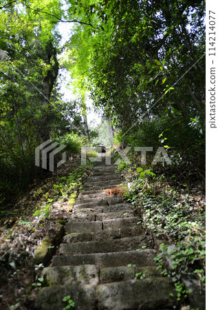 The approach to Tenmangu Shrine in Kanazawa, Minano-machi, Chichibu-gun, Saitama Prefecture The approach to Tenmangu Shrine in Kanazawa, Minano-machi, Chichibu-gun, Saitama Prefecture 114214077