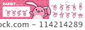 Set of cute rabbit character illustrations. Character turnaround and 10 moves. 114214289