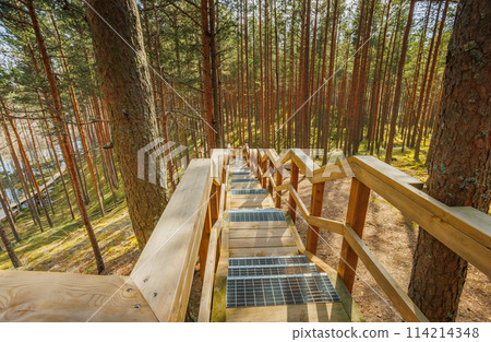 Viru Bog Viru Raba peat swamp, Estonia Viru Bog Viru Raba peat swamp, Estonia 114214348