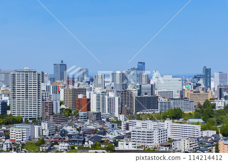 從青葉城遺址欣賞清新綠色的仙台市全景 從青葉城遺址欣賞清新綠色的仙台市全景 114214412