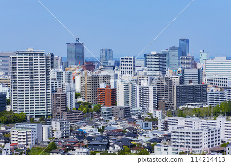 從青葉城遺址欣賞清新綠色的仙台市全景 114214413
