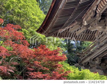 秋葉和山門 秋葉和山門 114214710