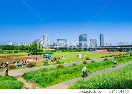 東京的二子玉川摩天大樓和川崎市一側的多摩川河床 114214803