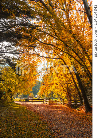 Lilydale to Warburton Rail Trail in Australia Lilydale to Warburton Rail Trail in Australia 114214842