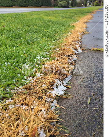 拍攝在戶外忽然下起了冰雹後的地面 拍攝在戶外忽然下起了冰雹後的地面 114215106