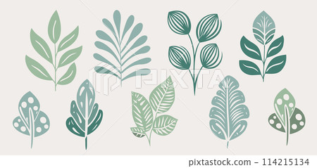 Tropical vector leaves collection, set. Green Vector isolated elements on the white background. leaf silhouettes flat style Tropical vector leaves collection, set. Green Vector isolated elements on the white background. leaf silhouettes flat style 114215134