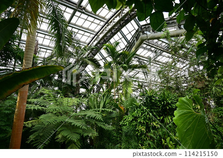 Inside the greenhouse at Kyoto Botanical Gardens 114215150