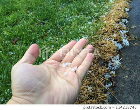 Picking up hailstones on the ground after a hailstorm and taking pictures Picking up hailstones on the ground after a hailstorm and taking pictures 114215743