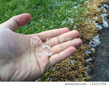 Picking up hailstones on the ground after a hailstorm and taking pictures Picking up hailstones on the ground after a hailstorm and taking pictures 114215744