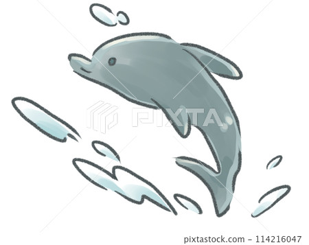 Dolphins to jump 114216047