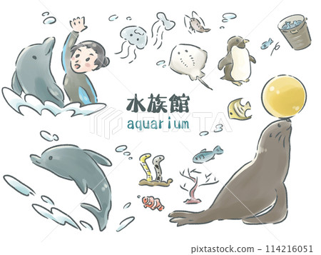Various aquarium illustration set 114216051