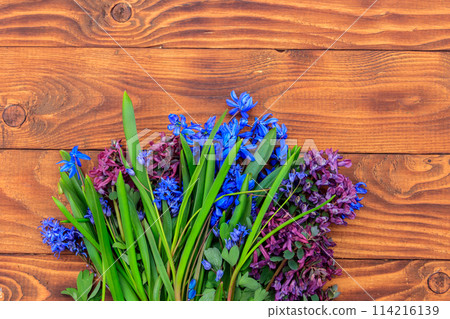 Bouquet of purple corydalis flowers and blue scilla flowers on wooden background 114216139