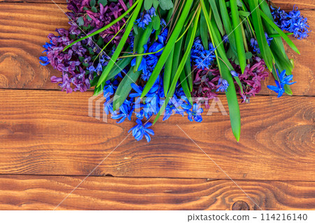 Bouquet of purple corydalis flowers and blue scilla flowers on wooden background 114216140