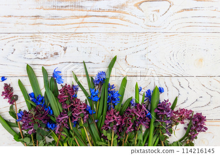 Bouquet of purple corydalis flowers and blue scilla flowers on white wooden background Bouquet of purple corydalis flowers and blue scilla flowers on white wooden background 114216145
