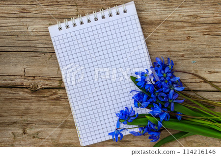 Blank notepad with blue scilla flowers on rustic wooden background Blank notepad with blue scilla flowers on rustic wooden background 114216146