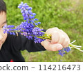 Boy offering wildflowers 114216473