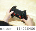 Boy holding a game controller 114216480