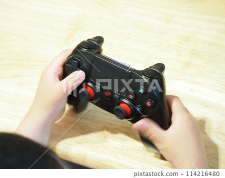 Boy holding a game controller 114216480