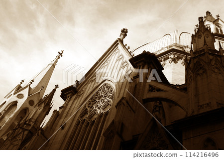 巴西聖保羅的Se大教堂 巴西聖保羅的Se大教堂 114216496