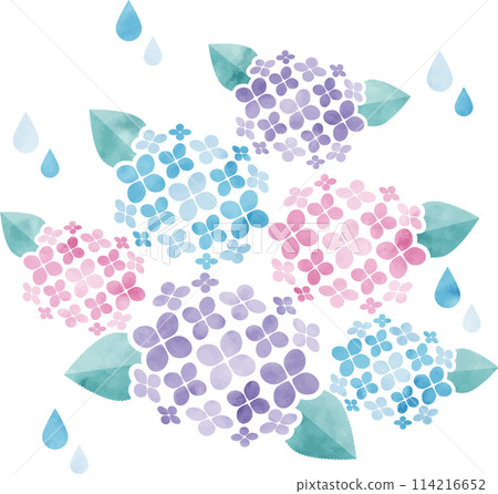Watercolor hydrangea illustration 114216652