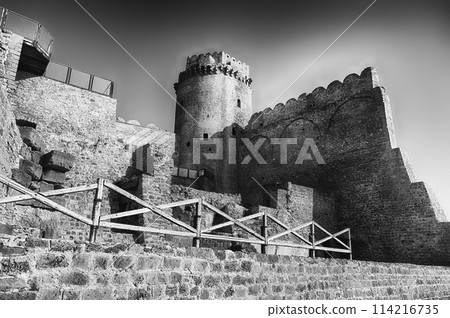 View of the Aragonese Castle, Isola di Capo Rizzuto, Italy 114216735