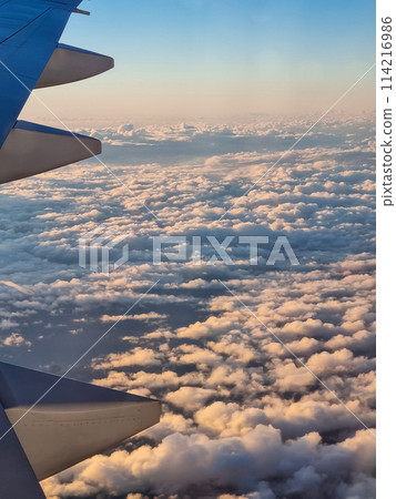 View skyscape from window Airplane go to japan 114216986