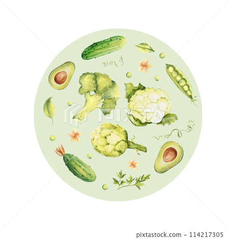 Green vegetables set in a circle. Cucumber, avocado and parsley plant. Broccoli, cauliflower and artichoke. Hand drawn watercolor illustration in vintage style. For cards, posters and logo or emblem. 114217305