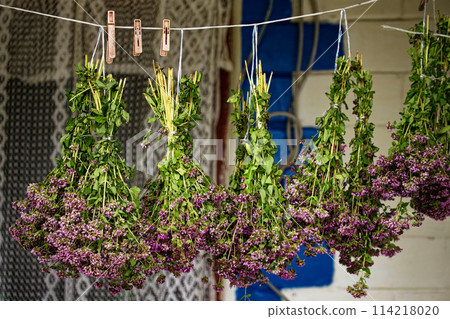 The image captures the simplicity and elegance of hanging dried flowers with contrasting colors that evoke feelings of tranquility and harmony. The image captures the simplicity and elegance of hanging dried flowers with contrasting colors that evoke feelings of tranquility and harmony. 114218020